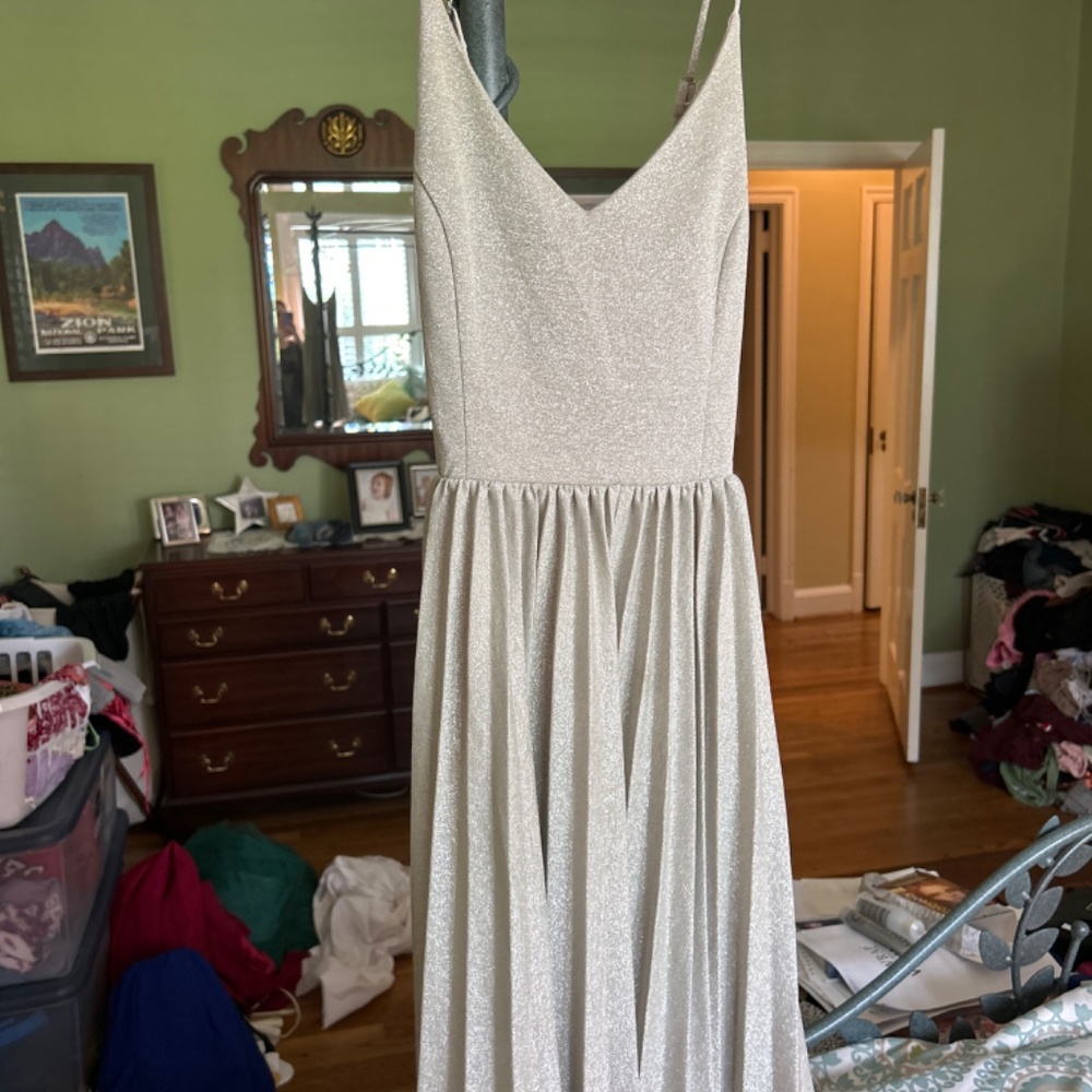 silver dress